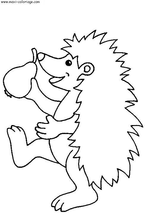 coloriage Herissons