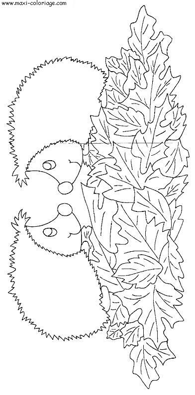 coloriage Herissons