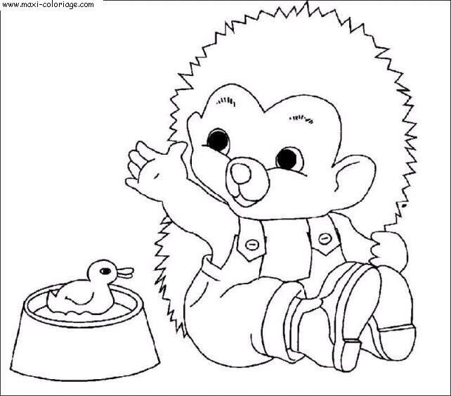 coloriage Herissons