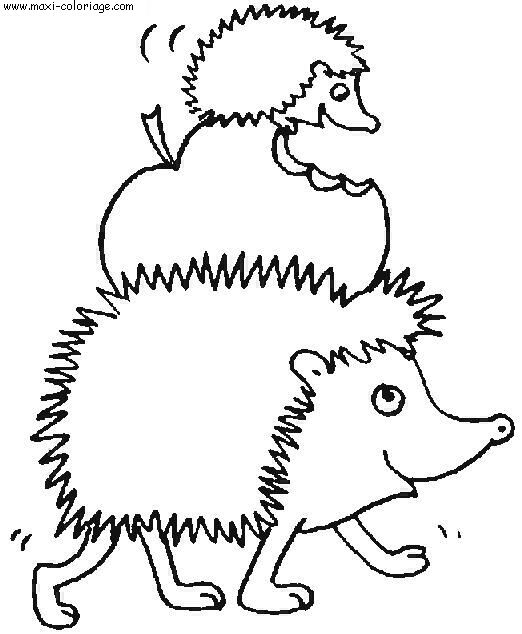 coloriage Herissons