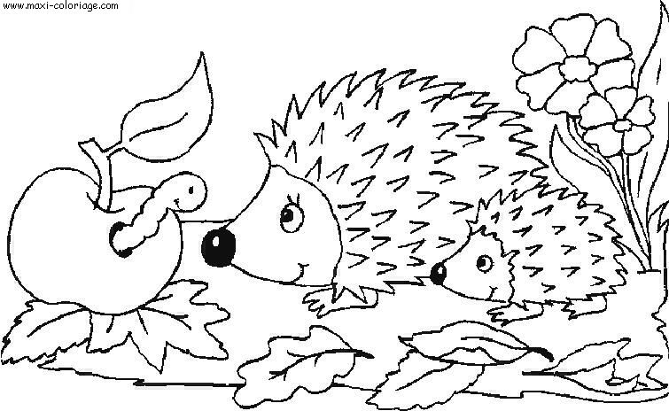 coloriage Herissons