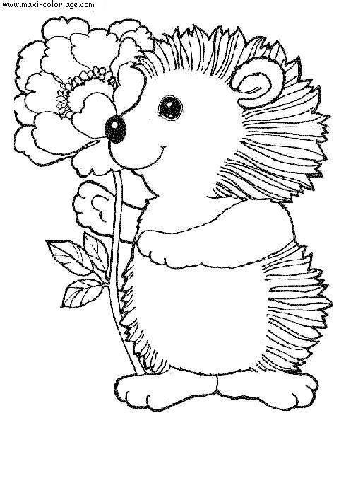 coloriage Herissons