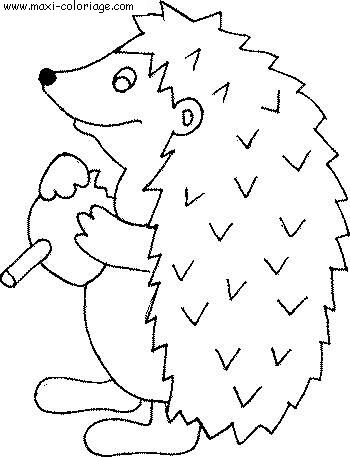 coloriage Herissons