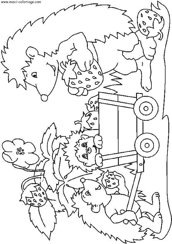 coloriage Herissons