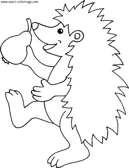 coloriage Herissons