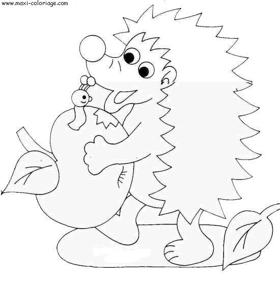 coloriage Herissons