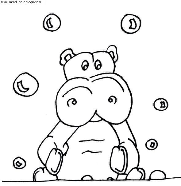 coloriage Hippopotames