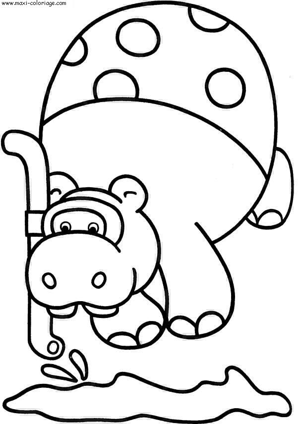 coloriage Hippopotames