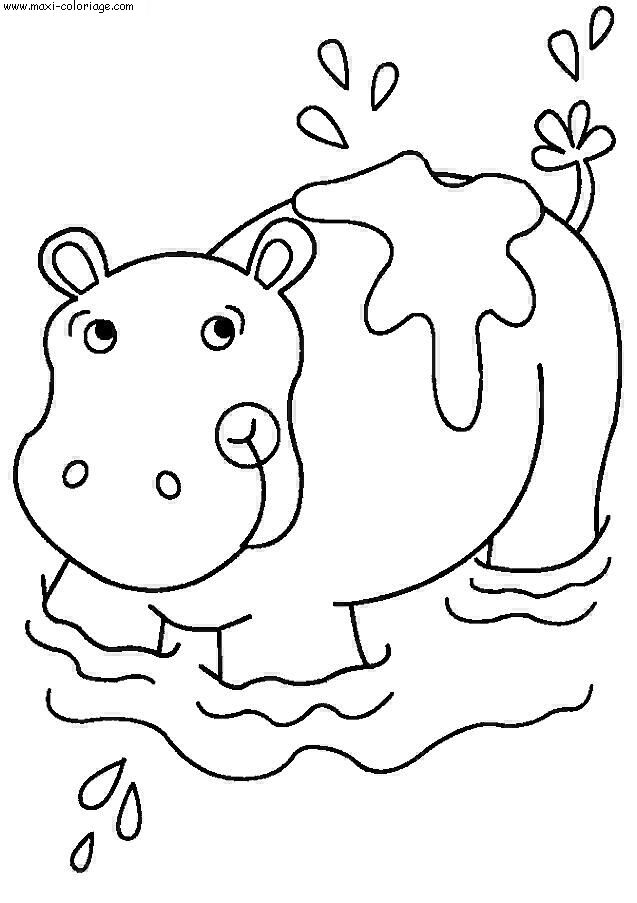 coloriage Hippopotames