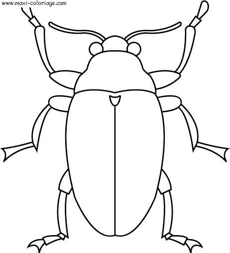 coloriage Insectes