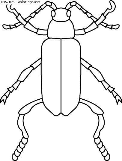 coloriage Insectes