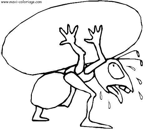 coloriage Insectes