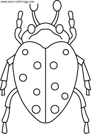 coloriage Insectes