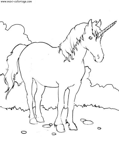 coloriage Licornes