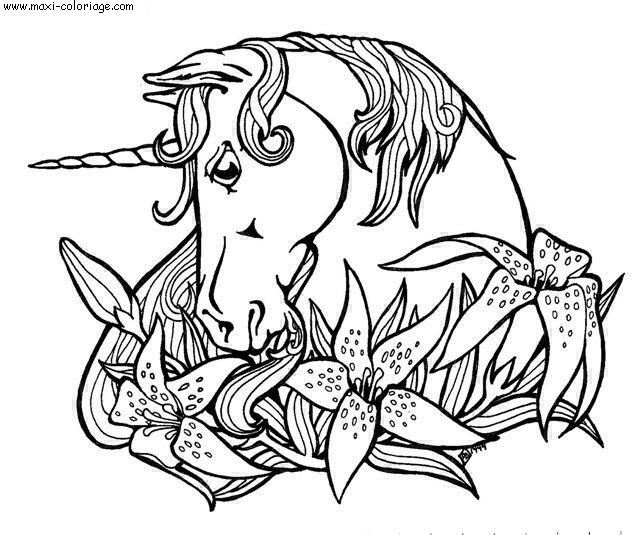 coloriage Licornes