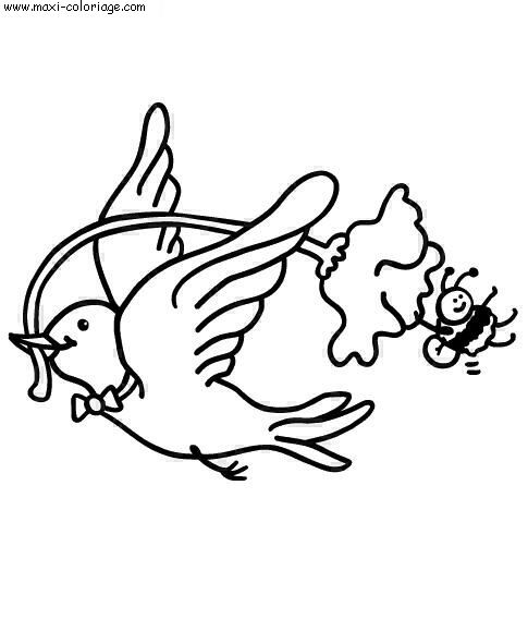 coloriage Oiseaux