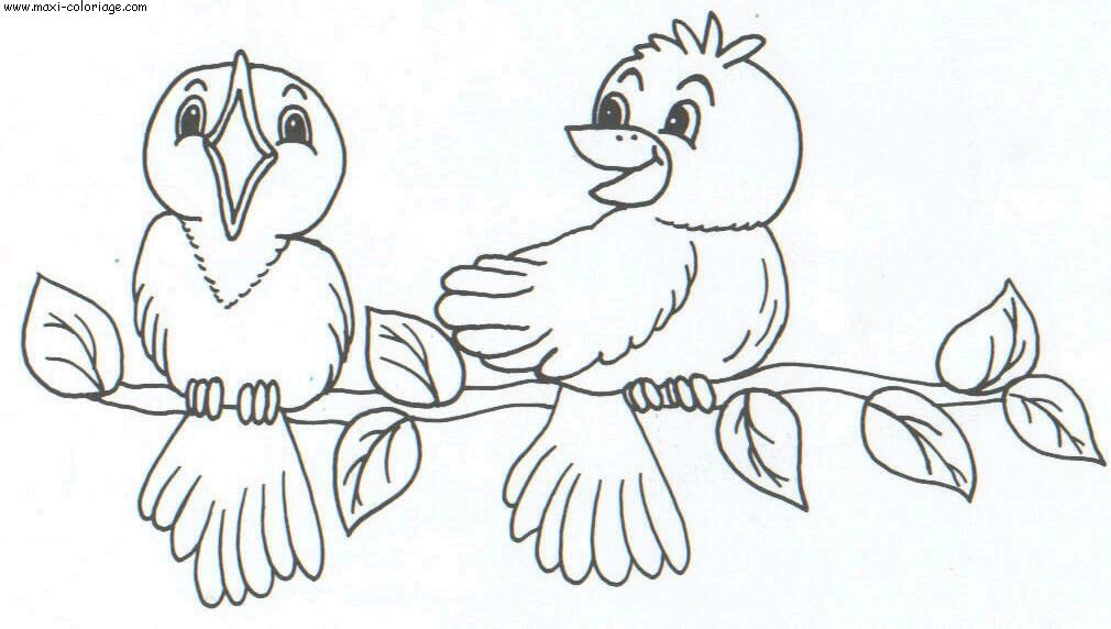 coloriage Oiseaux