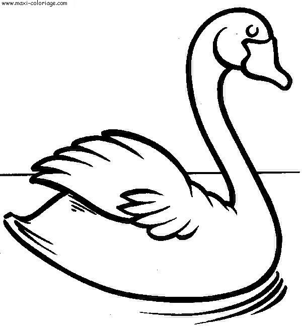 coloriage Oiseaux