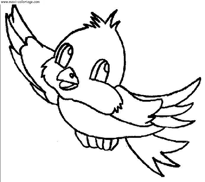 coloriage Oiseaux