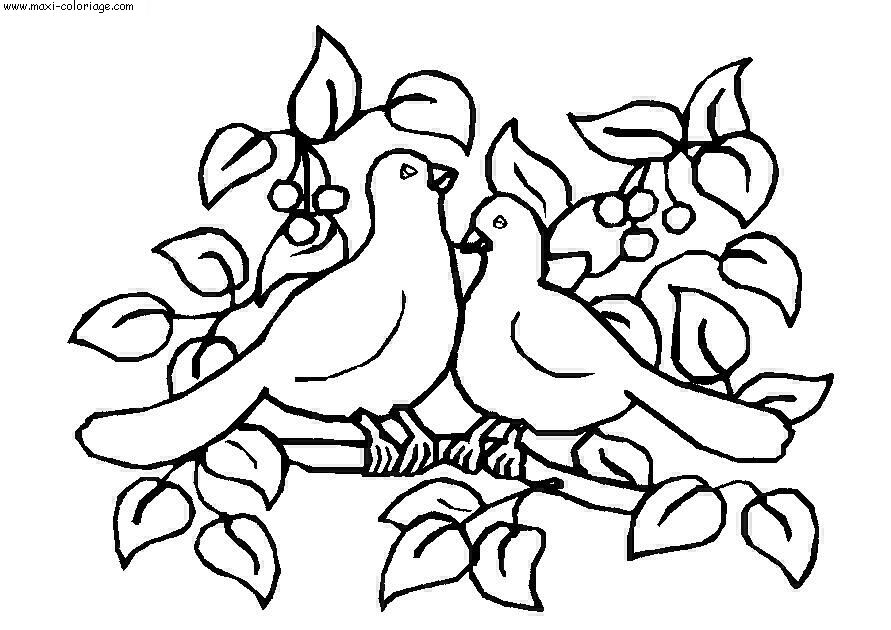 coloriage Oiseaux