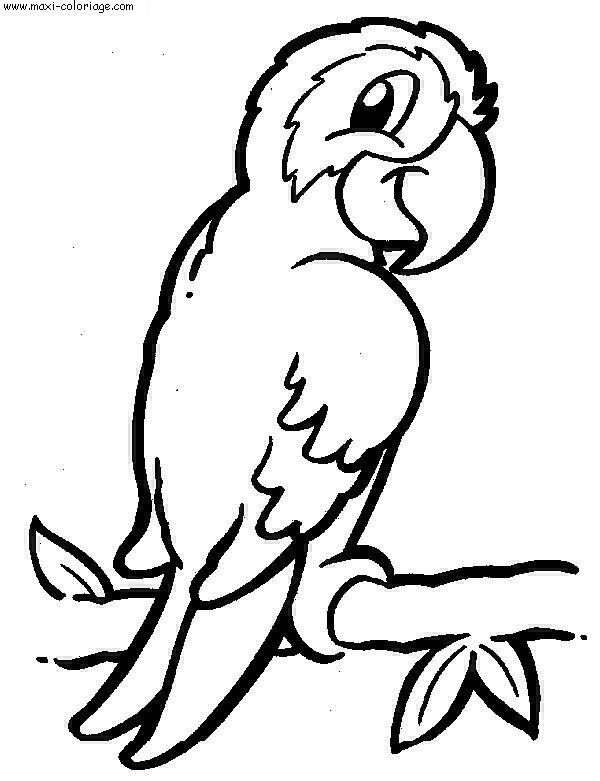coloriage Oiseaux