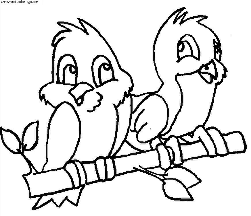 carte invitation Oiseaux