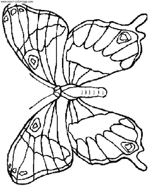 coloriage Papillons