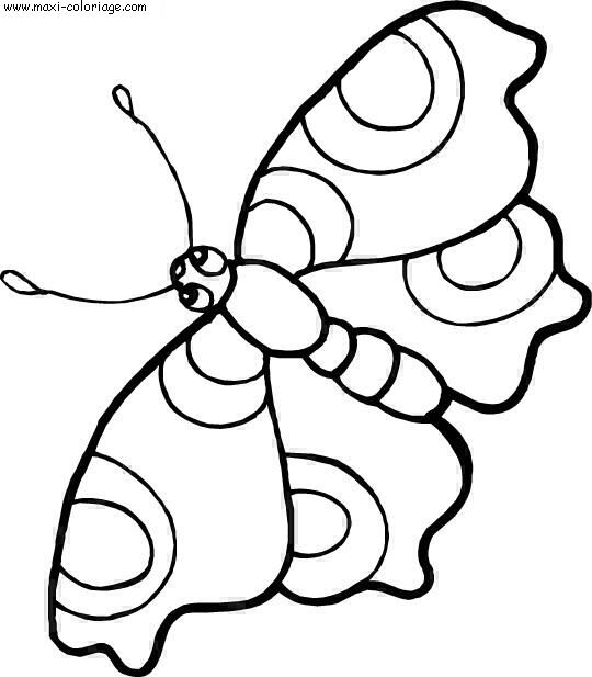 coloriage Papillons