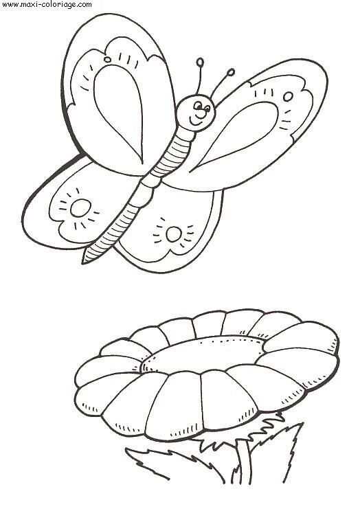 coloriage Papillons