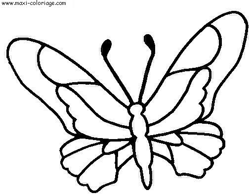 coloriage Papillons