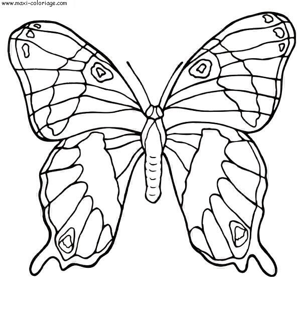 coloriage Papillons