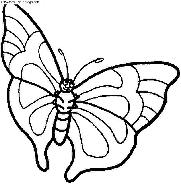 coloriage Papillons