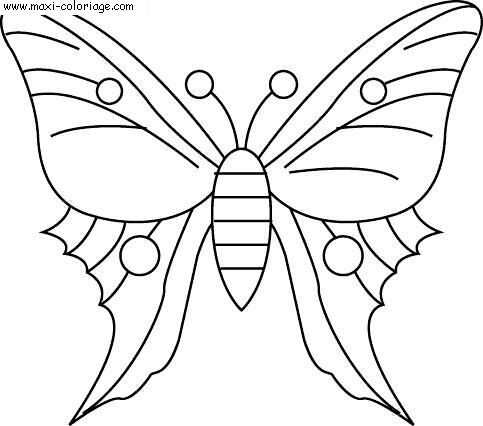 coloriage Papillons
