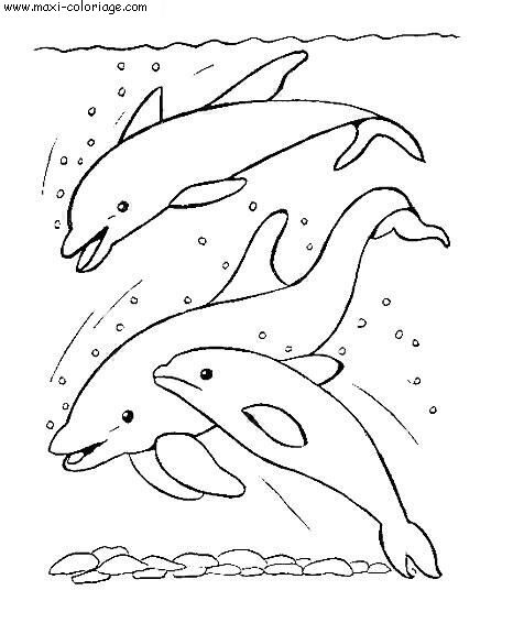 coloriage Poissons