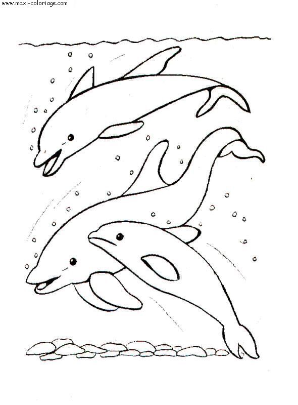 coloriage Poissons