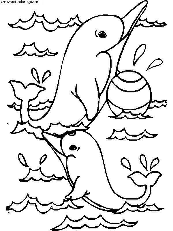 L'image “http://www.maxi-coloriage.com/coloriage-dessin/animaux/poissons_016.jpg” ne peut être affichée car elle contient des erreurs.