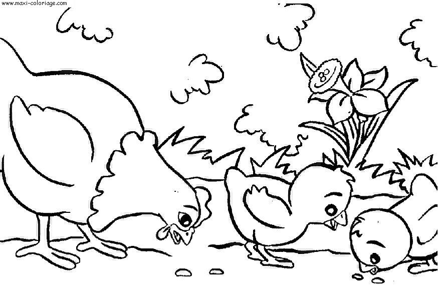 coloriage Poules