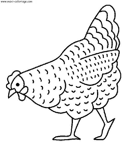 coloriage Poules
