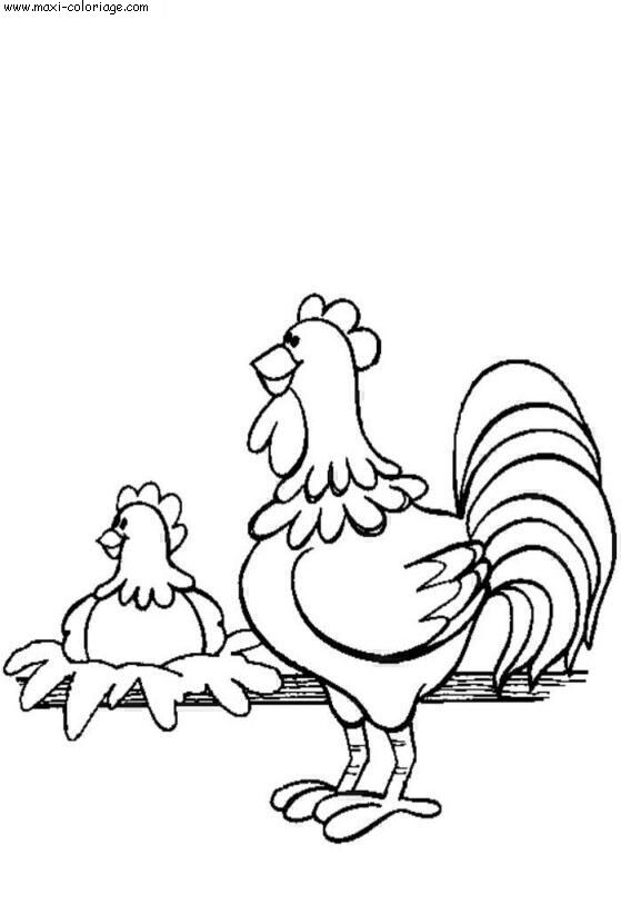 coloriage Poules