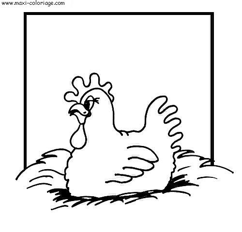 coloriage Poules