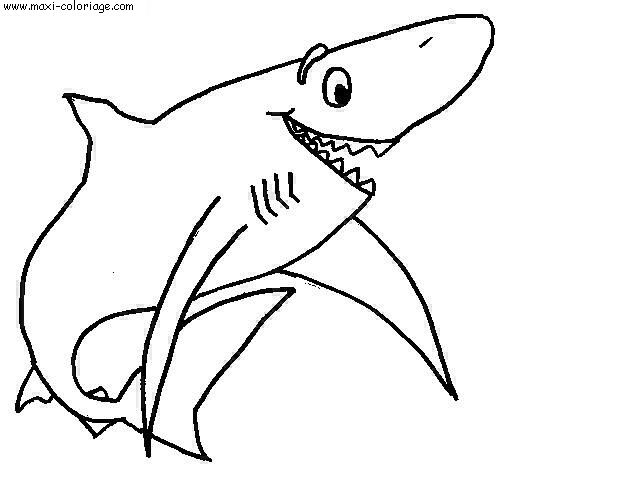 coloriage Requins