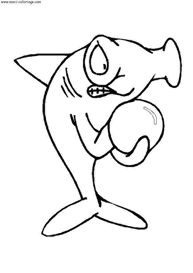 coloriage Requins