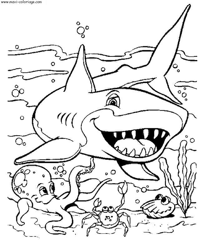 coloriage Requins