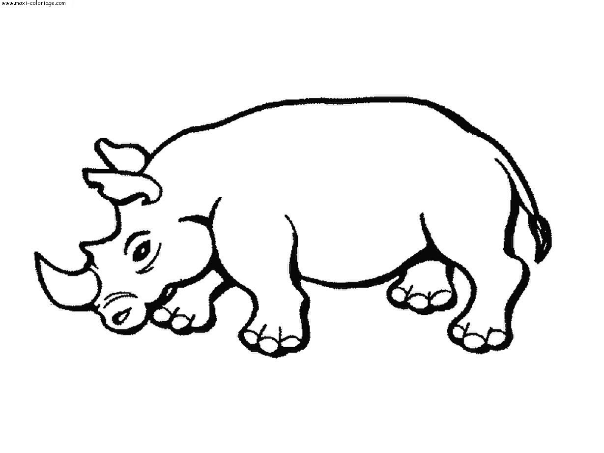 coloriage Rhinoceros