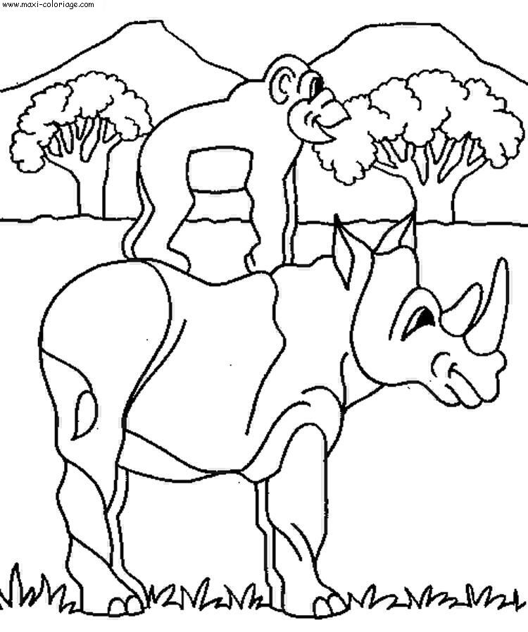 coloriage Rhinoceros