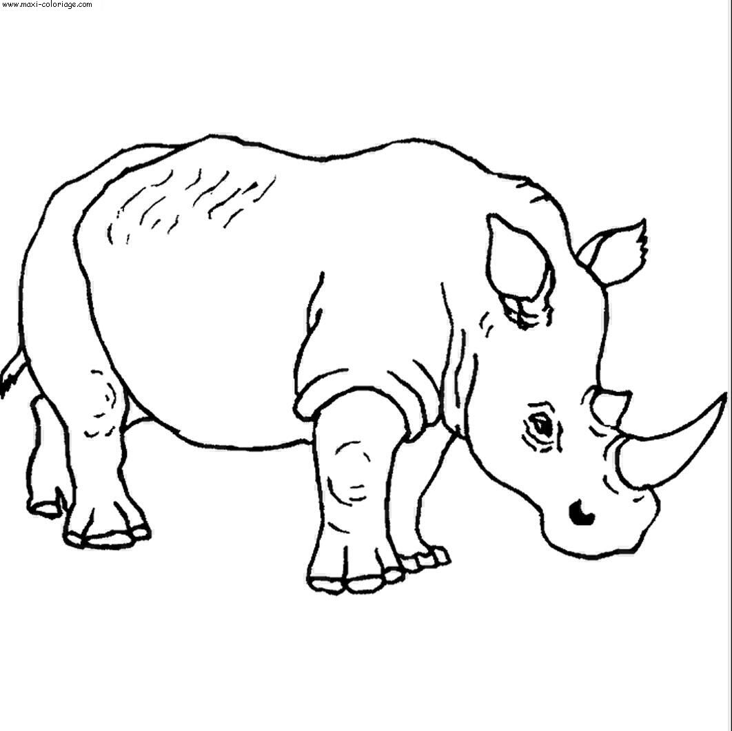 coloriage Rhinoceros