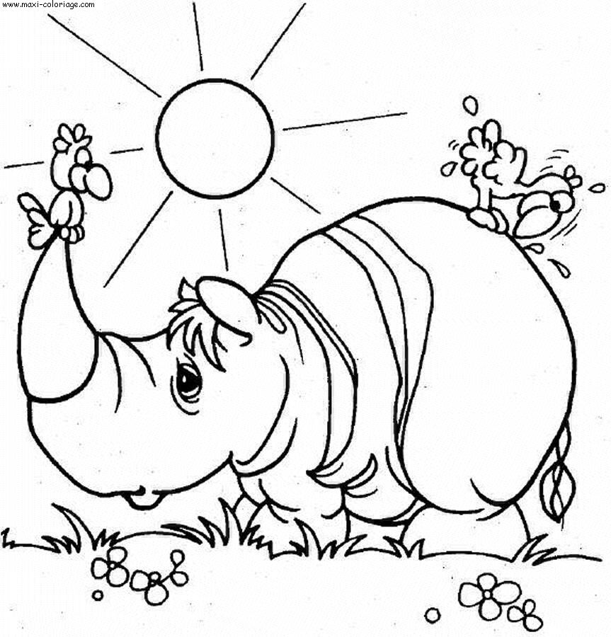 coloriage Rhinoceros