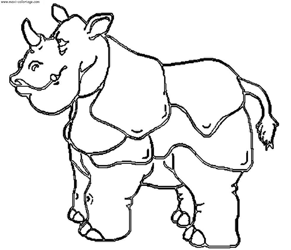 carte invitation Rhinoceros