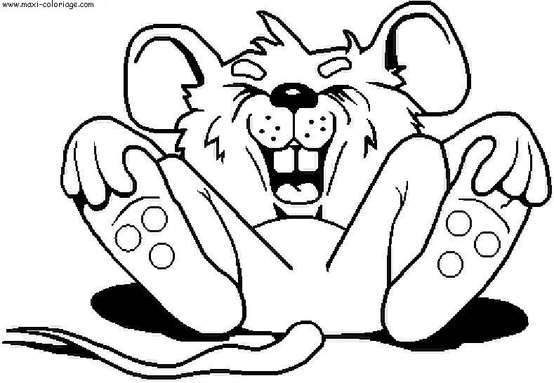 coloriage Souris