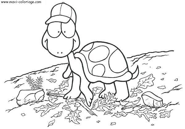 coloriage Tortues